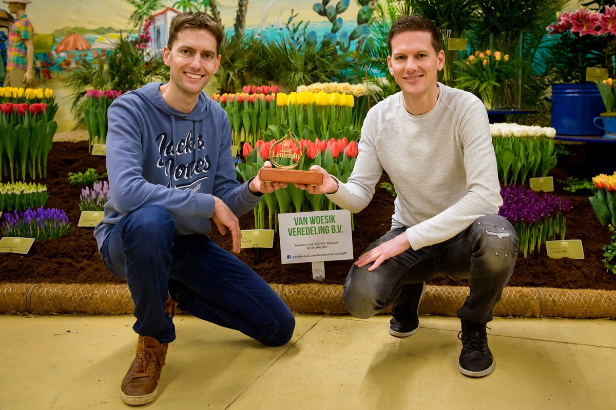 De Gouden Bolbloem is dit jaar gewonnen door Van Woesik Veredeling BV met de combinatie tulp Fireball, narcis Nr. 05-1-4 en muscari Early Bird. Burgemeester Rian van Dam van de gemeente <a href="/HollandsKroon/">Hollands Kroon</a>  reikte de hoofdprijs uit aan de broers Jeffrey en Roy van Woesik. #lentetuin