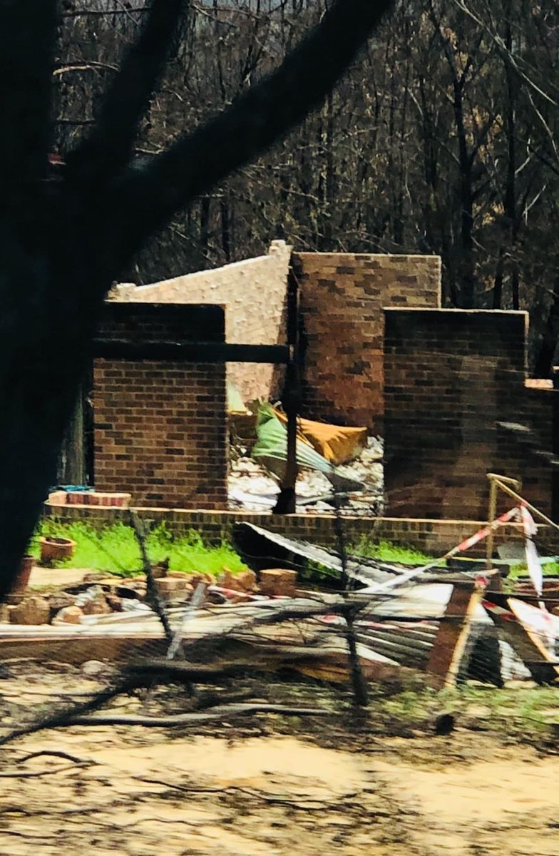 Katherine Bray tweet media