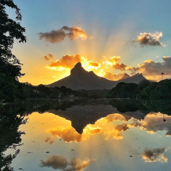 MauritiusGuide tweet picture