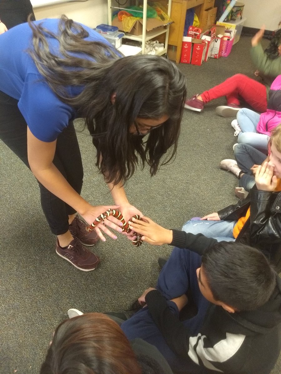 MissWeagle's tweet photo. Our 4th graders @RedwoodElem loved the presentation today about environments of Utah courtesy of @LivingPlanetUT. Thank you!! https://t.co/JtYna47Ubu