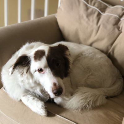 ItsBinksFN's tweet image. #NewProfilePic