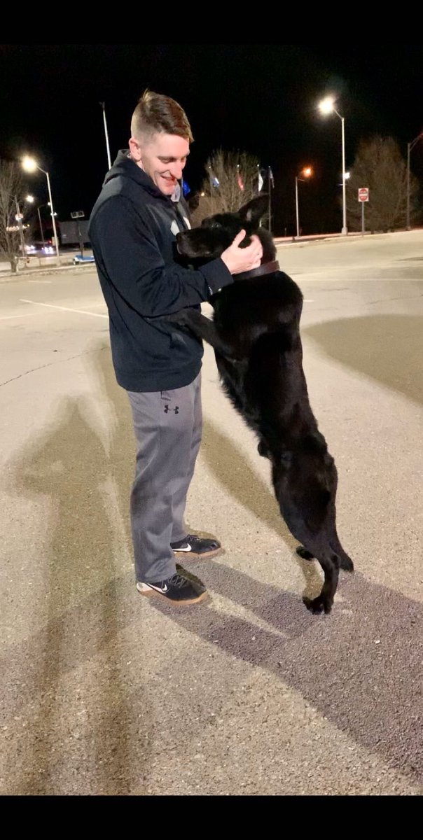 CLee0713's tweet photo. The Adventures of Boyles and Devo Continue. So thankful to be able to adopt my first MWD 7 years later 

2013——>                        2020 https://t.co/mFh5qRRrPA