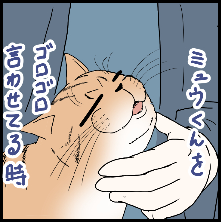 猫を撫でる飼い主の理想と現実・・・
#猫好き 