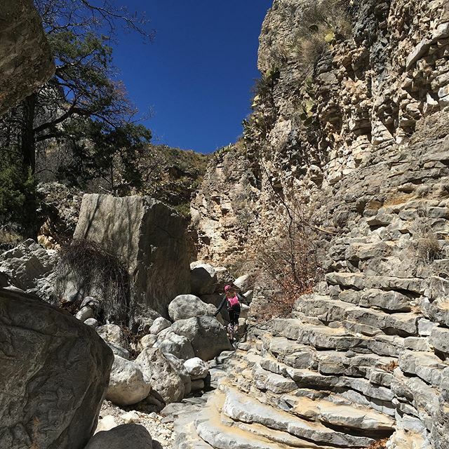 JustGoTravelSt1's tweet photo. 2 years ago today...we were hiking the Devil’s Hall Trail at Guadalupe Mountains National Park. This hike isn’t particularly long but it does involve boulder scrambling. Since we are used to a fair amount of that in our home state of NH (with boulders of the granite sort), o… https://t.co/5BHpGSzMhd