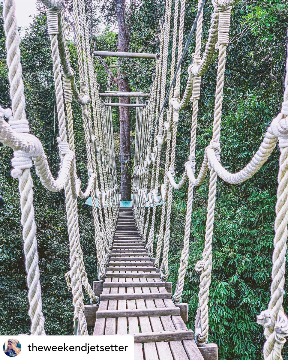Umgawa's tweet photo. We will show you the path :)
@theweekendjetsetter Ready for more jungle adventures 🗺🦥. 📸 from zip lining in Langkawi with @umgawalegendaryadventures
#umgawalangkawi #zipline #fun #repost #instapost #bridge #thepath #comewithus #adventure #jungle #rainforest https://t.co/zDrGrGKav4