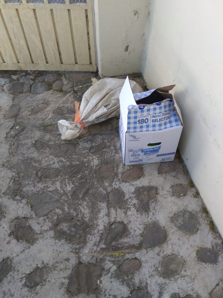 MikeeIca's tweet photo. Mientras algunas personas se dedican a abandonar y maltratar seres inocentes. https://t.co/5V1sE5ayDd