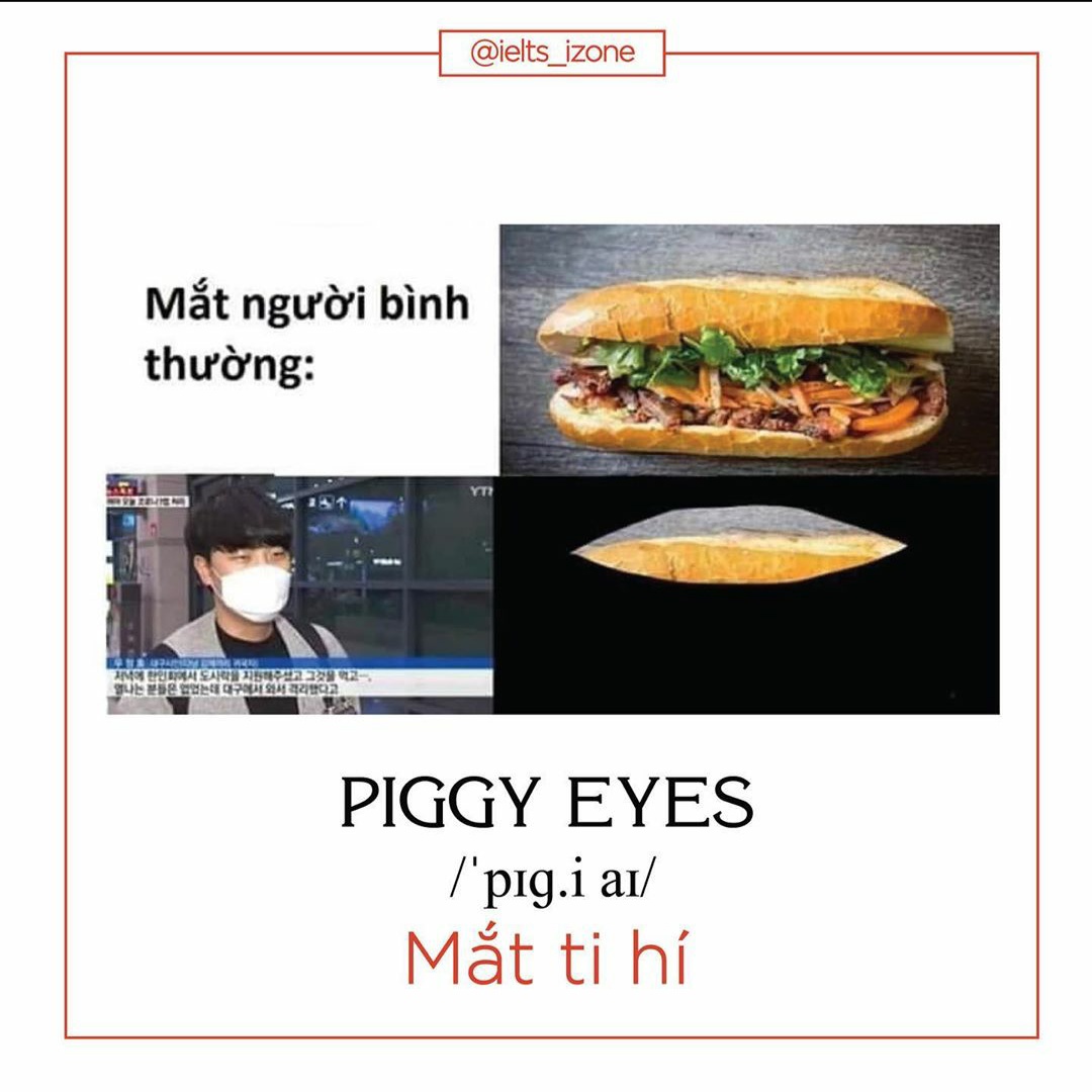 Thao Nguyen 🐳 tweet media