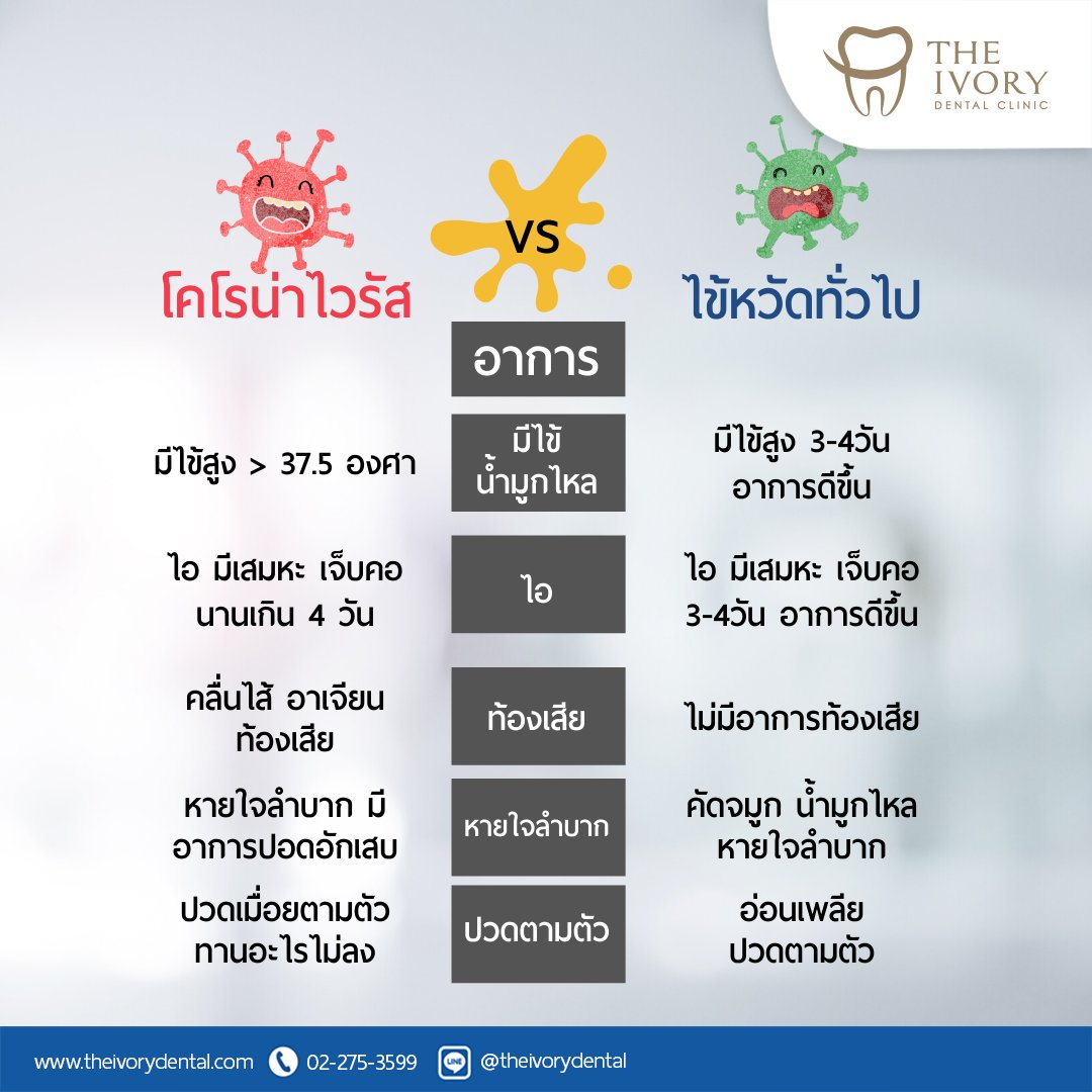 The Ivory Dental Clinic คลินิกทันตกรรม ดิไอวรี่ tweet media