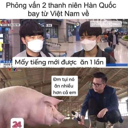 Woon_nvdt's tweet photo. Pig. 🐷🐷🐖🐖
#KoreansApologizetoVietnam
#YTN_사과해 
#베트남을존중 https://t.co/Dcev2HUPnt