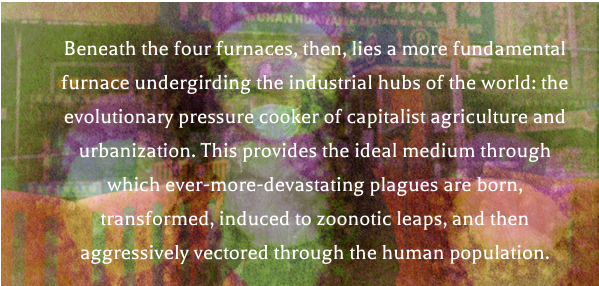Fascinating, brilliant essay on Coronavirus in the web of life.  http://chuangcn.org/2020/02/social-contagion/