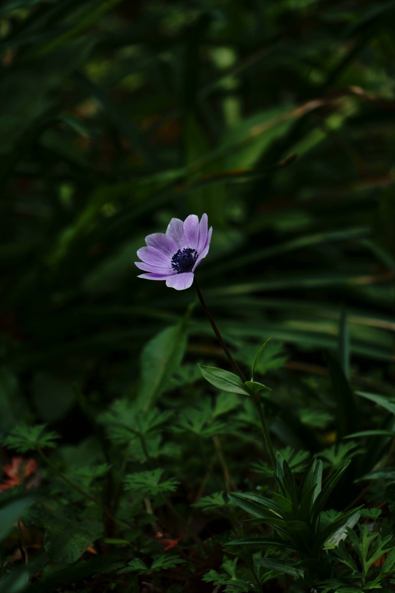 スクワット300回