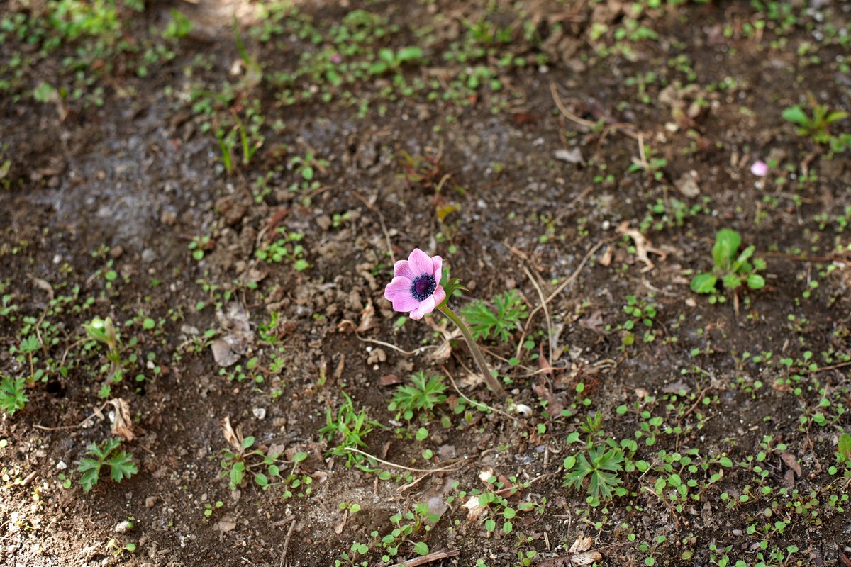 スクワット300回