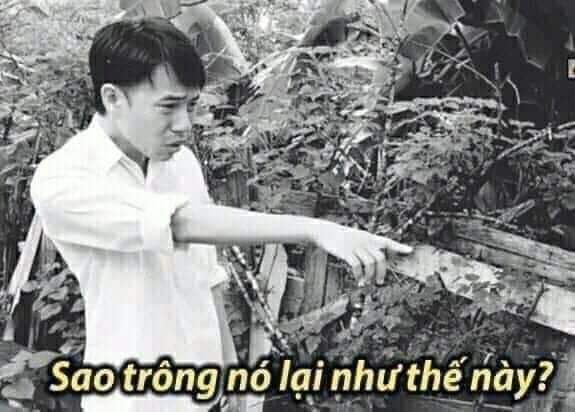 tokki_bae's tweet photo. Góc xả gồng: Mẹ m lũ ăn cháo đái bát qua cầu rút ván qua nhà t đòi ăn cao lương mỹ vị đến lúc về thì than đói than khổ, bộ tụi m là Trư Bát Giới hả mà mỗi phút ăn một lần. Lại còn lên mặt dạy đời ai? Dite chúng mày.
#KoreansApologizetoVienam 
#YTN_사과해 https://t.co/f828q4RasQ