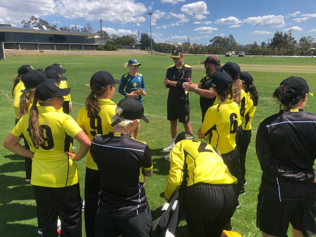 Cricket Aus Pathway tweet media