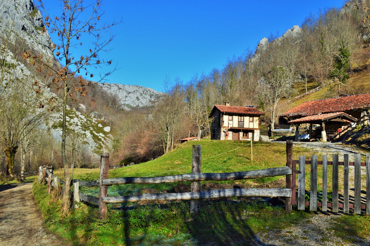 AYUNTAMIENTO DE CASO. PARQUE NATURAL DE REDES tweet media