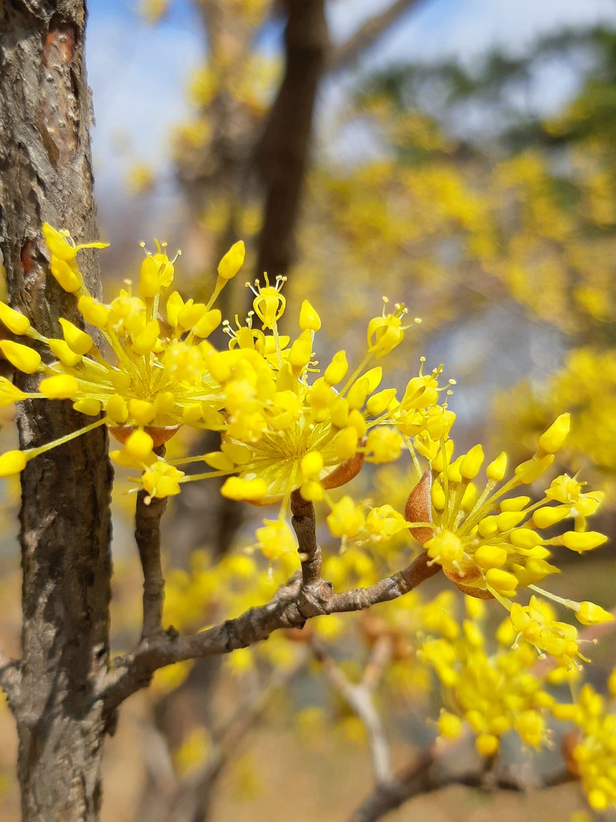 공원길 걷다가 마주침...
