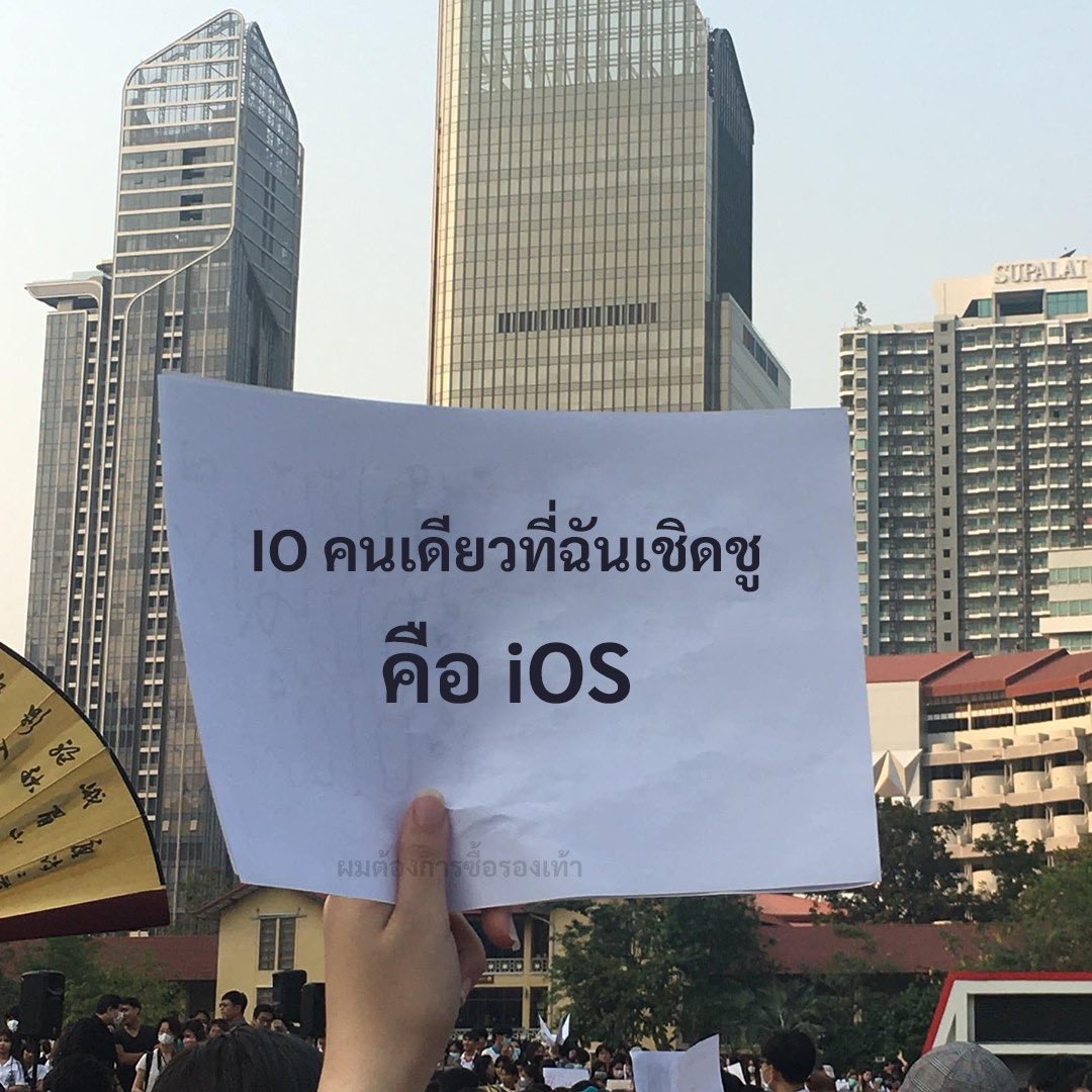 โพลี่ซัง ✨ tweet media