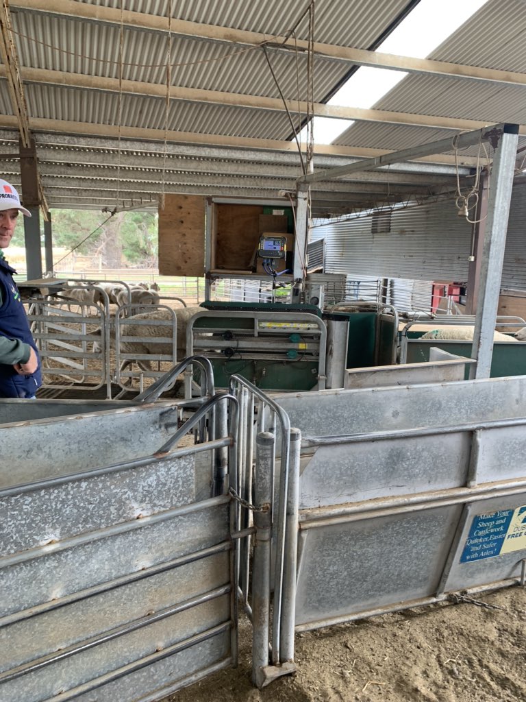 Thank you <a href="/Murnong_Farming/">Murnong Farming</a> and @pracsystems for a great day! Reiterated the importance of collecting data to help strengthen decision making in the business. <a href="/AgrifunderAusNZ/">Agrifunder</a>