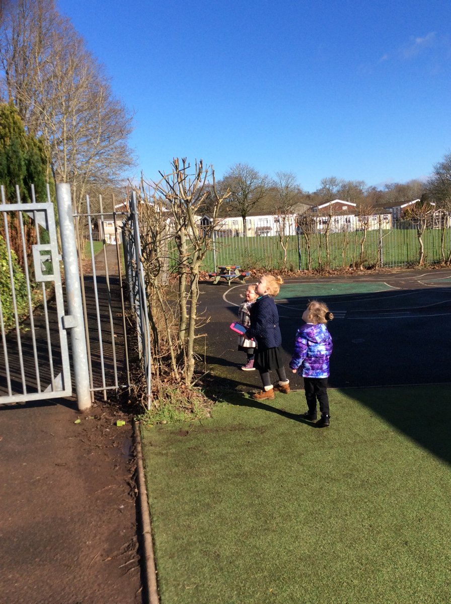 Springwood_Prm's tweet image. Some of #springnursery went on a daffodil hunt and used an iPad to take pictures of things growing! We found lots of buds! #springscience #springict
