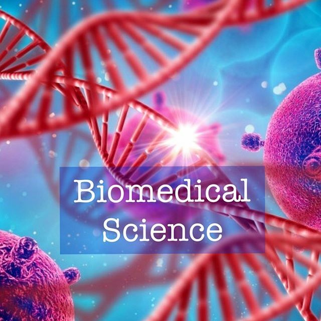 theRightU's tweet photo. Biomedical Science: The search for treatments for muscular dystrophy.

Find out from Professor Steve Winder on the biomedical and molecular mechanics for this ground breaking research - and how the Biomedical Science career can be very rewarding.

#theri… https://t.co/3t6vAkOSwQ https://t.co/l69DdRN1wL
