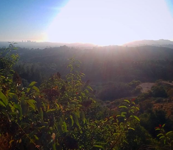 Griffith Park Trails