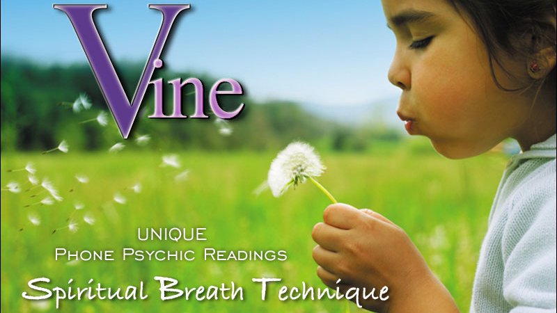 Vine Psychic Reading в Твиттере: "When you Book a Reading wi