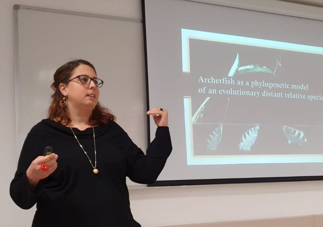 ShovalRoy's tweet photo. Great talk by @Nafcha_O about the social nature of the archerfish. They prefer to distribute food to themselves and to a fellow fish rather than to themselves alone.
#ISCOP2020 https://t.co/C2JOdu482c