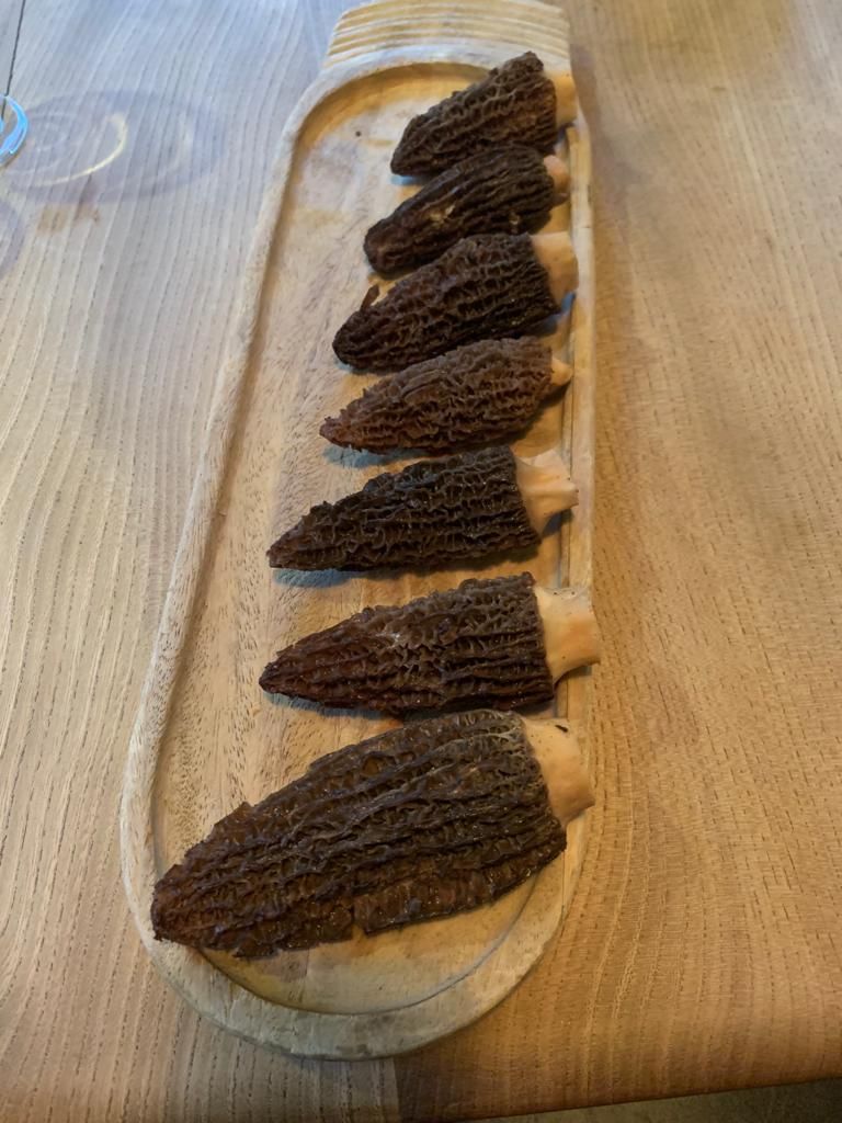 The Malago (@themalagorest) on Twitter photo You can find these fine ass looking morels on our Chicken Supreme, stuffed with chicken mousse and served alongside rapeseed mash, charred baby gem, green beans, parma ham and mushroom ketchup. Big up's to <a href="/Hugogreengrocer/">Hugo Sapsed</a> for them! You can find these fine ass looking morels on our Chicken Supreme, stuffed with chicken mousse and served alongside rapeseed mash, charred baby gem, green beans, parma ham and mushroom ketchup. Big up's to <a href="/Hugogreengrocer/">Hugo Sapsed</a> for them!