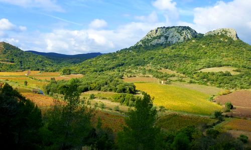 A PIED L’HÉRAULT C'EST GÉANT
🚶 Aujourd’hui zoom sur l’Oenorando des Drailles des Crozes : une invitation à la découverte du patrimoine vinicole et ses plus beaux paysages #Hérault

Découvrez l’#Oenotour et ses 17 #Oenorandos
ℹ️ bit.ly/2Tfk1UO