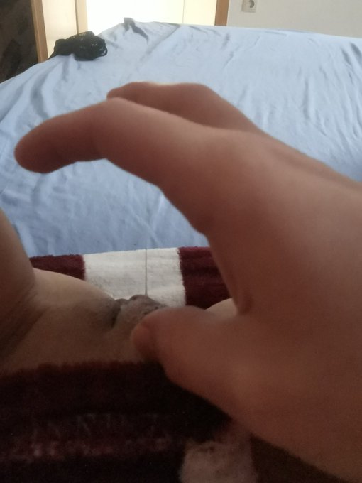 Drip drip.. 💦 That horny days 😏 https://t.co/Yf0wdXgvv4