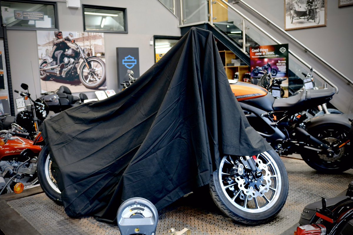 Sycamore H-D tweet media