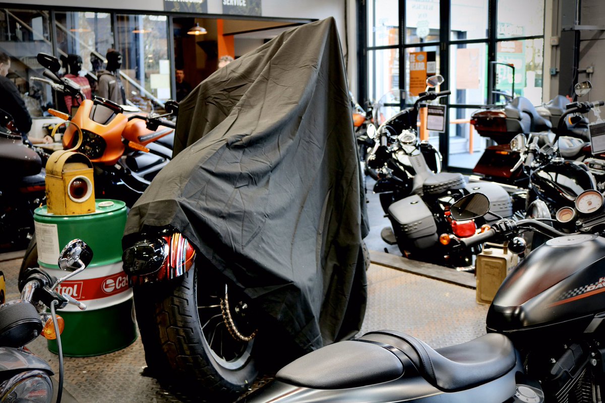 Sycamore H-D tweet media