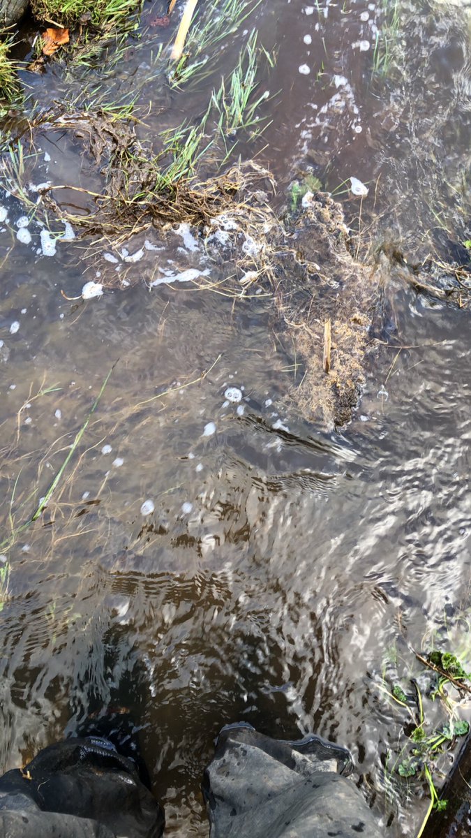 JackMSmith04's tweet photo. Anyone got any flippers and arm bands? https://t.co/VDztvWm5Kh