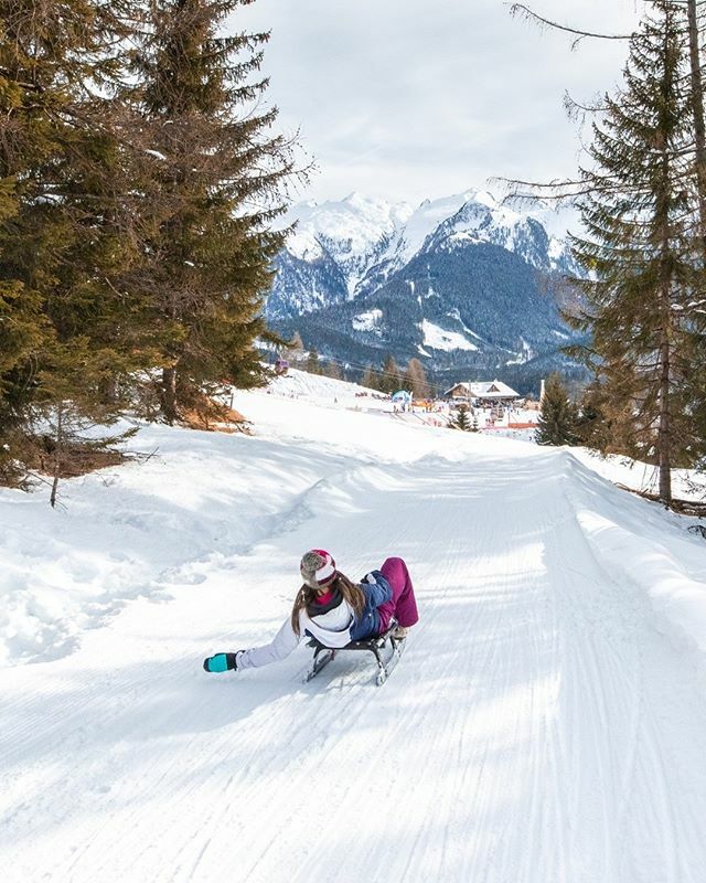 Sledging through the woods 🛷

#letitsnow #winterwonderland #dolomitesmountain #mountainslovers#mountainscalling #mountainstyle #wintermood #luxuryworldtraveler #romanticescape #travelcouples #relax_time #montagna #mountains  #skiholiday #mountainview #wintertime #sled #rodel…