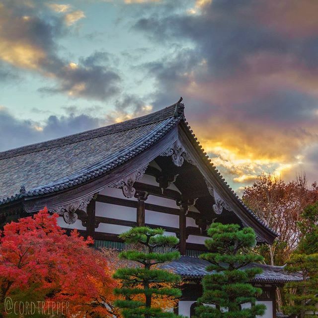 cordtripper's tweet photo. Walking around Tofuku-Ji temple right before sunset
....
....
....
....
#post795 #cordtripper #asia #japan #kyoto #tofukuji #goldenhour #sunset #landscape #autumn #exploring #nature #scenic #traveling #travelcontent #travelphotography #stamped #artofvisuals #exploringtheglob… https://t.co/uMUsMQFjit