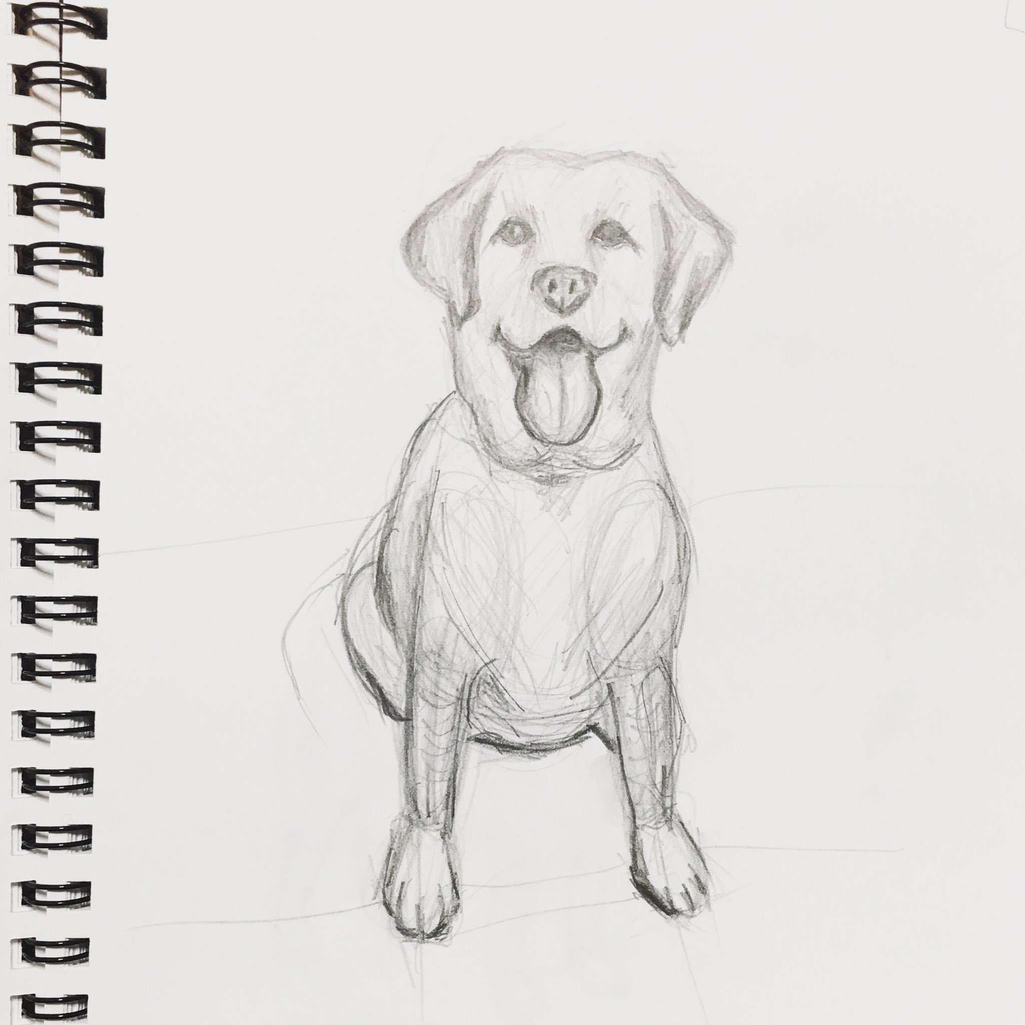 Chippoke ようこ 犬絵 練習中 ラブラドールレトリバー Chippoke ようこ 犬絵 練習中 ラブラドールレトリバー