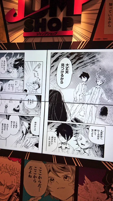 興奮しまくって連写したもの 