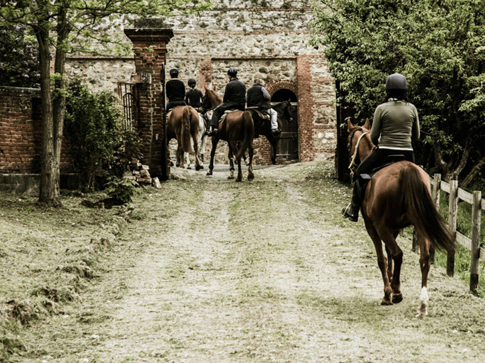 A cavallo in Monferrato, turisti sempre più sensibili all'ambiente, Primavera a Merano - mailchi.mp/3cac95ab1126/a…