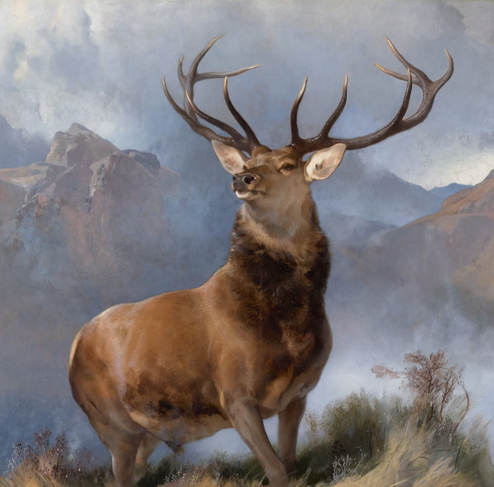 NatGalleriesSco's tweet photo. Come meet the stag... 🦌
Our next Pop Up Talk at the Scottish National Gallery will focus on Edwin Landseer's work, The Monarch of the Glen 😊

Free, from 2pm on Friday (28 Feb) - https://t.co/hDTjeZi0JF #Monarch #Popuptalks #ScotNatGallery https://t.co/lC7f6vLiNq