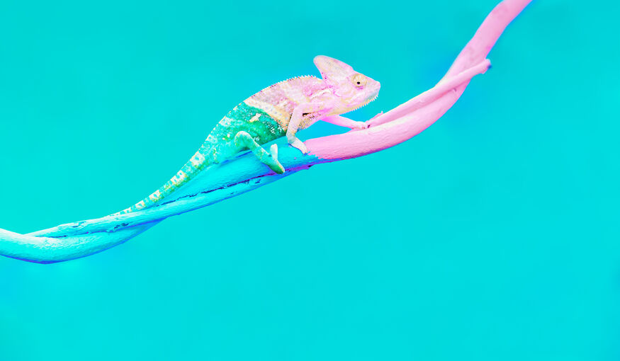 celadinltd's tweet photo. We all talk about event trends, best practices and benchmarking, yet we spend almost no time on analysing the risks and challenges the events industry may face in the near future. Here are 6 challenges that will change the events industry https://t.co/ziIXA2maSZ #eventmanagement https://t.co/PBrXOMTMql