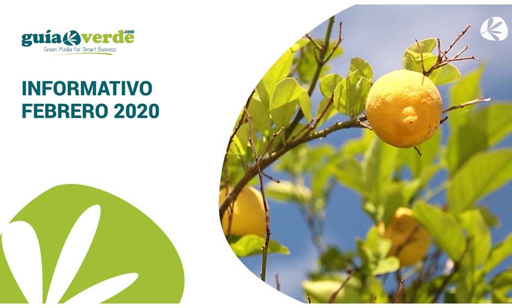 guiaverdecom's tweet photo. En el informativo de febrero abordamos la sostenibilidad en los centros de jardinería y entrevistamos a un experto en HLB que explica qué es y cómo se afronta
👉 https://t.co/TWGuzjb8pe
#sectorverde #InformativoGV #plantas #frutas #sostenibilidad https://t.co/h3V1KhcusE