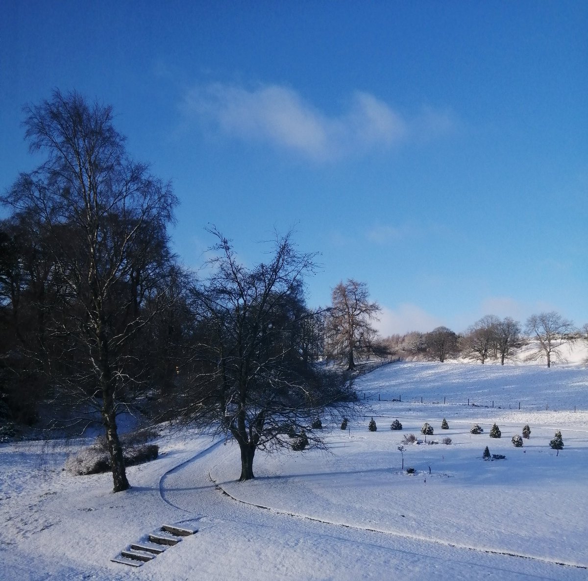 Good morning from Cringletie in the Scottish Borders 
@scottishgdns <a href="/HereScotland/">Discover South Scotland - Scotland Starts Here</a> <a href="/VisitScotland/">VisitScotland</a>