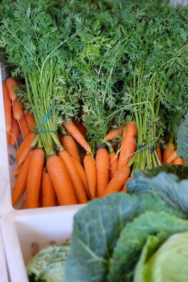 Seasonal fresh veg available from Eadles Greengrocer this Sunday 1 March sourced from Rectory Farm 👩‍🌾. #supportlocal #shoplocal #locallysourcedlocallysold #farmersmarket #winchmorehill #winchmorehillfarmersmarket #londonmarket #londonfarmersmarket