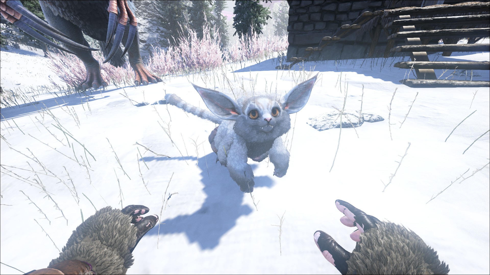 ミケロ Ark やっとferox見つけて可愛いぃ って写真を撮りに降りたら2匹もいて 興奮してたらferoxまで興奮しはじめて死にかけた 3 テイムも簡単だし カワウソと同じく断熱効果あり 床に置いとくと粉末エレメントを掘ってくれる しかも可愛い ミケロ Ark やっとferox見つけて可愛いぃ って写真を撮りに降りたら2匹もいて 興奮してたらferoxまで興奮しはじめて死にかけた 3 テイムも簡単だし カワウソと同じく断熱効果あり 床に置いとくと粉末エレメントを掘ってくれる しかも可愛い