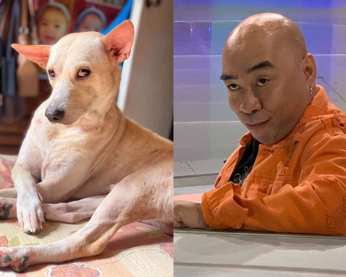 <a href="/YouScoop/">YouScoop</a> <a href="/JCGM1015/">Janicka ❤️</a> Who did it better?