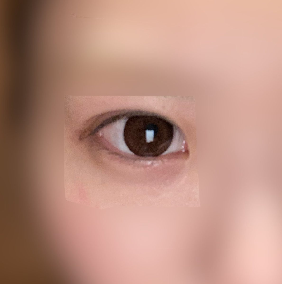 ことめろちゃん En Twitter 37 カラコン ナチュラルブラウンという色使い切り 目の縦幅がある人向けの着色直径に感じた 入れたあとしばし目が痛いことが何度かあったのでリピなし 写真はアイメイクほぼ落ち カラコンの目元 外箱捨てちゃった ことめろ ことめろちゃん En Twitter 37 カラコン ナチュラルブラウンという色使い切り 目の縦幅がある人向けの着色直径に感じた 入れたあとしばし目が痛いことが何度かあったのでリピなし 写真はアイメイクほぼ落ち カラコンの目元 外箱捨てちゃった ことめろ