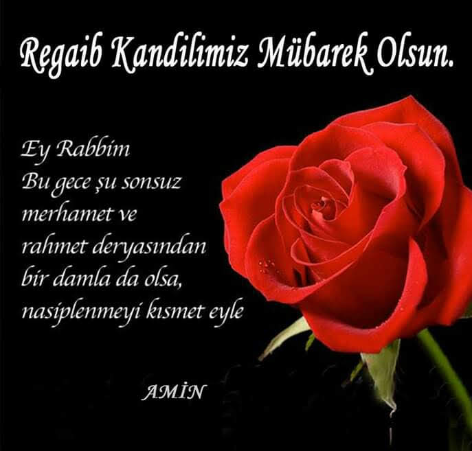 @B_ek_o @Ayse3245 @Sude_Naz_Miray @Leila_yim @Zehra_Altunel1 @Beyaz_Zakkum @CizgisiKaderin @SukutuAlemm @NeslihanBen17 @OzlemYucel72 @DuruYlm40798913 @ElvanErdoan41 @senledevamreis @MineGumusRTE @minecelkk @san_turkluk @CigercMumin @goncalar07 @gelhelegel04 @ademvarli52 @SolmazSadice1 @sahra_0634 @HuriyeK02501269 @meb6307 @CemalDadeviren5 Hayırlı kandiller cümleten