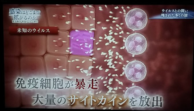 Katuo7kbさんのイラストまとめ