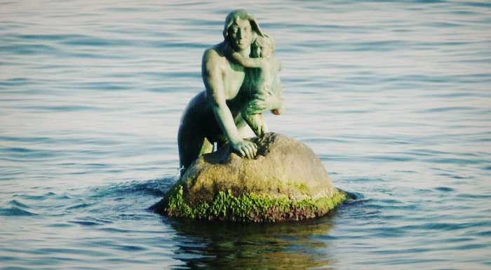 Андрей tweet media