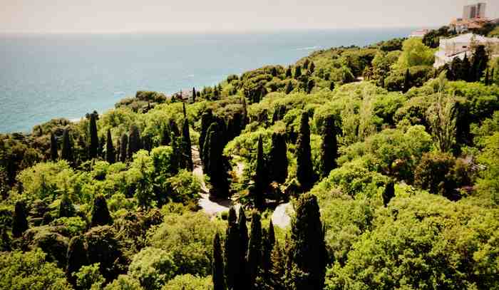 Андрей tweet media